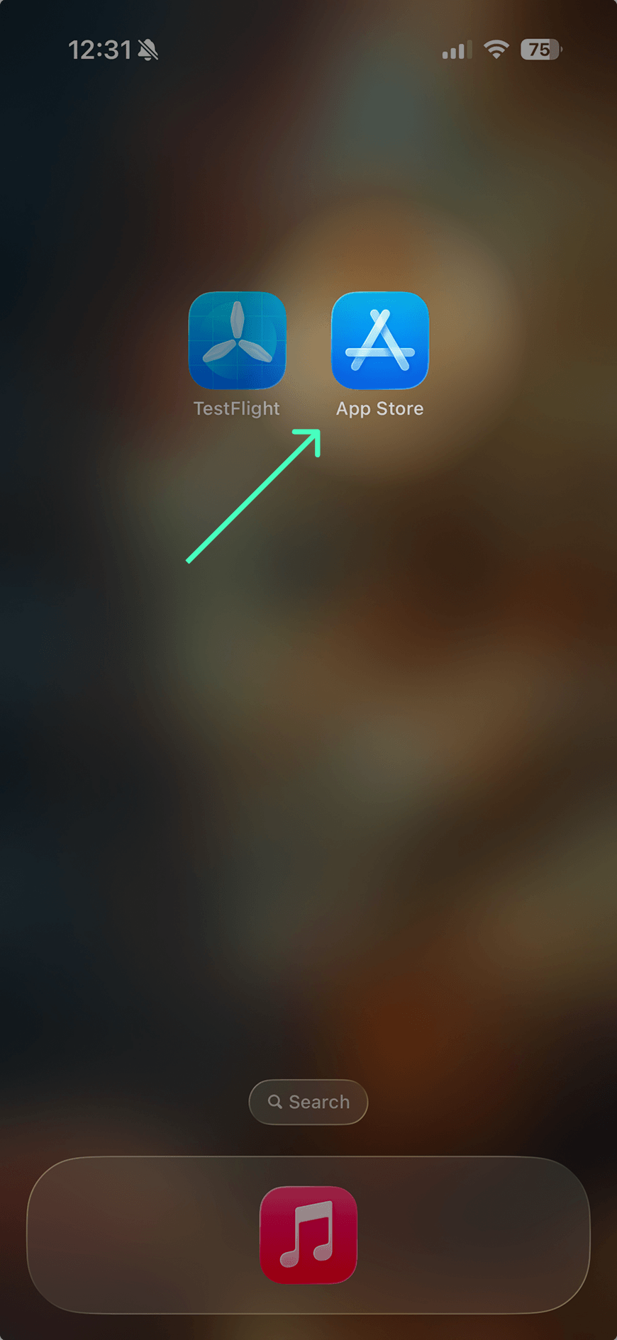 App Store